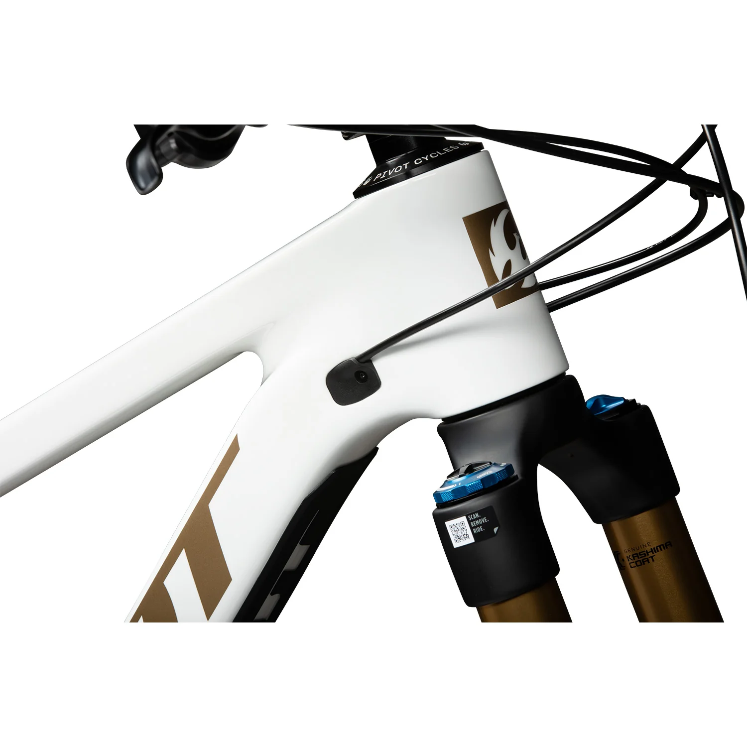 Pivot Cycles Firebird 2025 - Image 7
