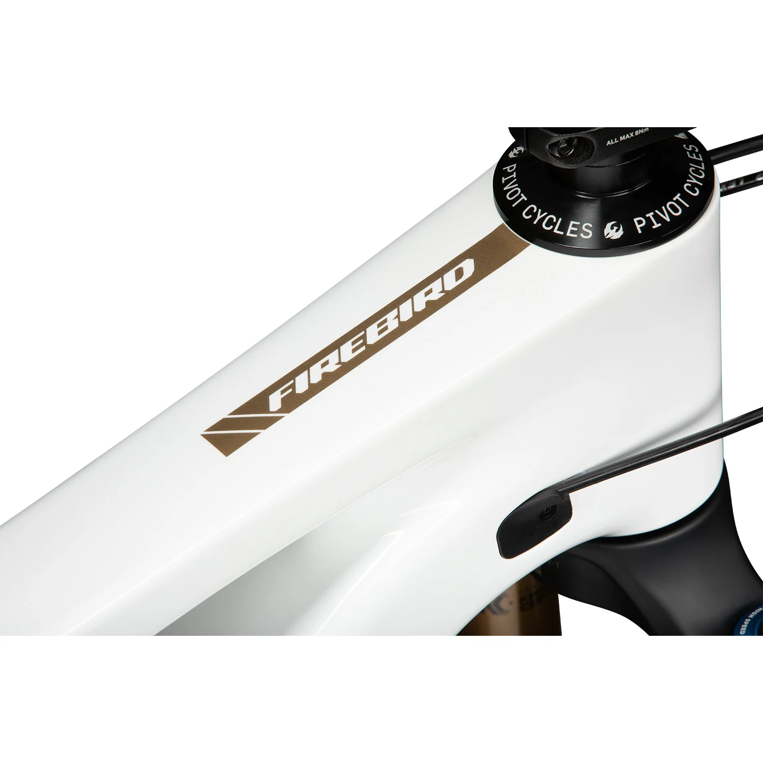 Pivot Cycles Firebird 2025 - Image 8